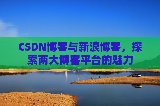 CSDN博客与新浪博客，探索两大博客平台的魅力